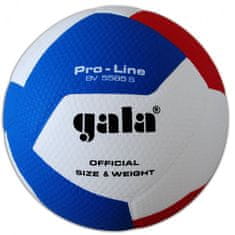 volejbalový míč Pro Line BV 5581S