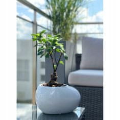 Polnix Keramický květináč na bonsaje 13 cm bílý
