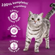 granule hovězí pro dospělé kočky 14 kg